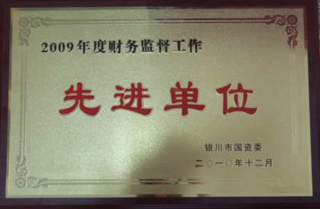 2009年度財(cái)務(wù)監(jiān)督工作先進(jìn)單位