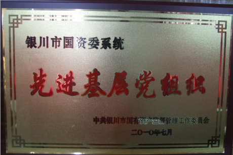 銀川市國資委系統(tǒng)先進(jìn)基層黨組織