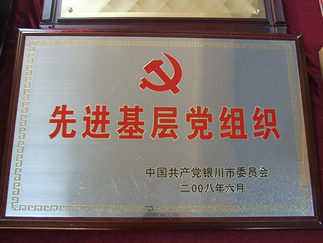 2008年中國共產(chǎn)黨銀川市委員會(huì)先進(jìn)基層黨組織