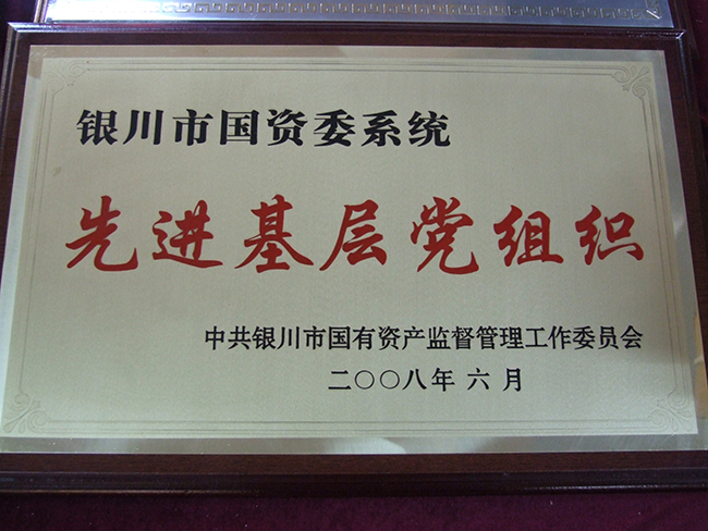2008年銀川市國資委系統(tǒng)先進(jìn)基層黨組織