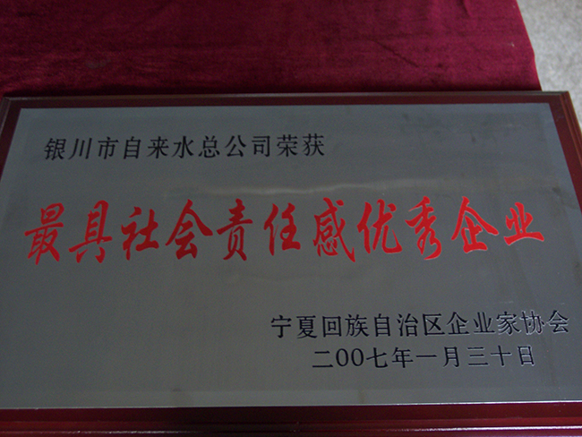 2007年自治區(qū)企業(yè)家協(xié)會最具社會責(zé)任感優(yōu)秀企業(yè)