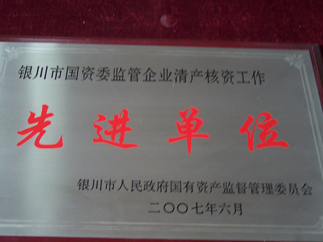 2007年6月銀川市人民政府國有資產(chǎn)監(jiān)督管理委員會先進(jìn)企業(yè)