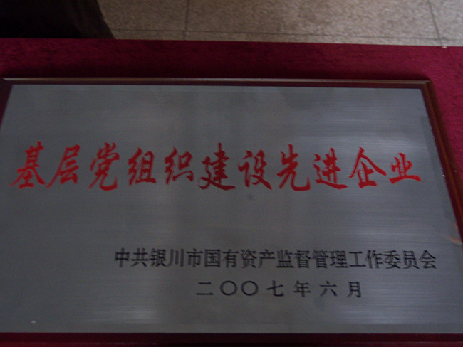 2007年6月基層黨組織建設(shè)先進(jìn)企業(yè)