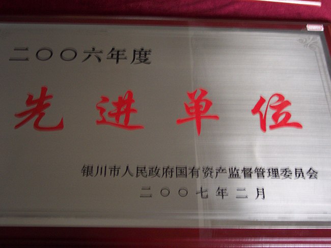 2006年度銀川市人民政府國有資產(chǎn)監(jiān)督管理委員會先進集體