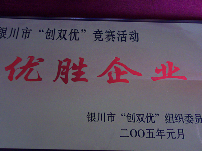 2005年1月銀川“創(chuàng)雙優(yōu)”競賽活動優(yōu)勝企業(yè)