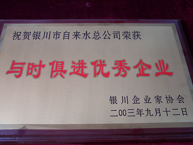 2003年銀川企業(yè)家協(xié)會(huì)與時(shí)俱進(jìn)優(yōu)秀企業(yè)