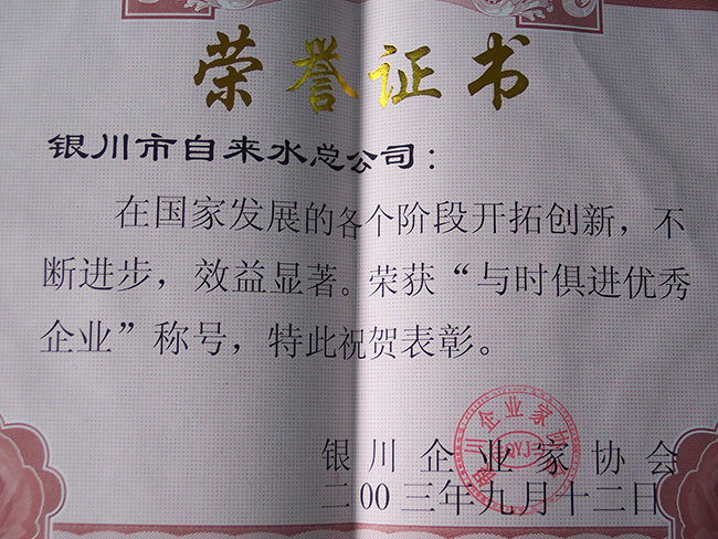 2003年銀川企業(yè)家協(xié)會(huì)“與時(shí)俱進(jìn)優(yōu)秀企業(yè)”稱號(hào)
