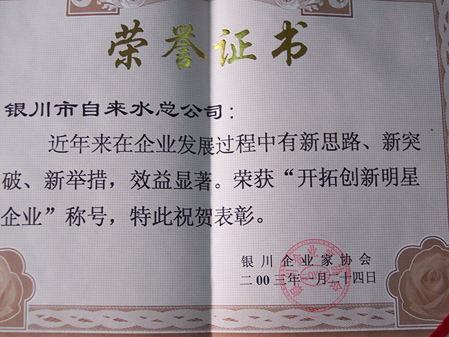 2003年銀川企業(yè)家協(xié)會(huì)“開拓創(chuàng)新明星企業(yè)”稱號(hào)