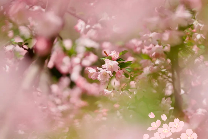 做有心青年   大聲說出愛